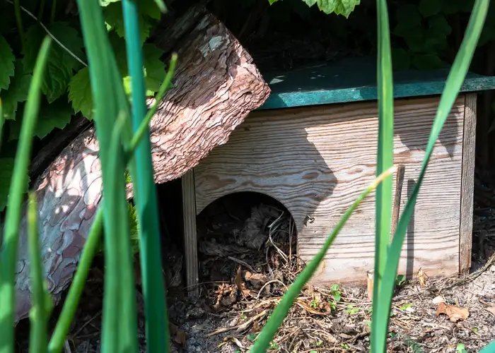 Abri à hérisson dans un jardin