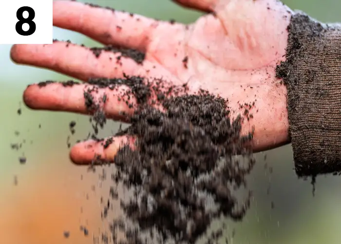 Tâche n°8 février au jardin : Assurez-vous de la bonne santé de votre sol en faisant un bilan de santé