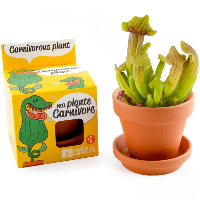 Idée cadeau jardinage n°36 : kit jardinage enfants