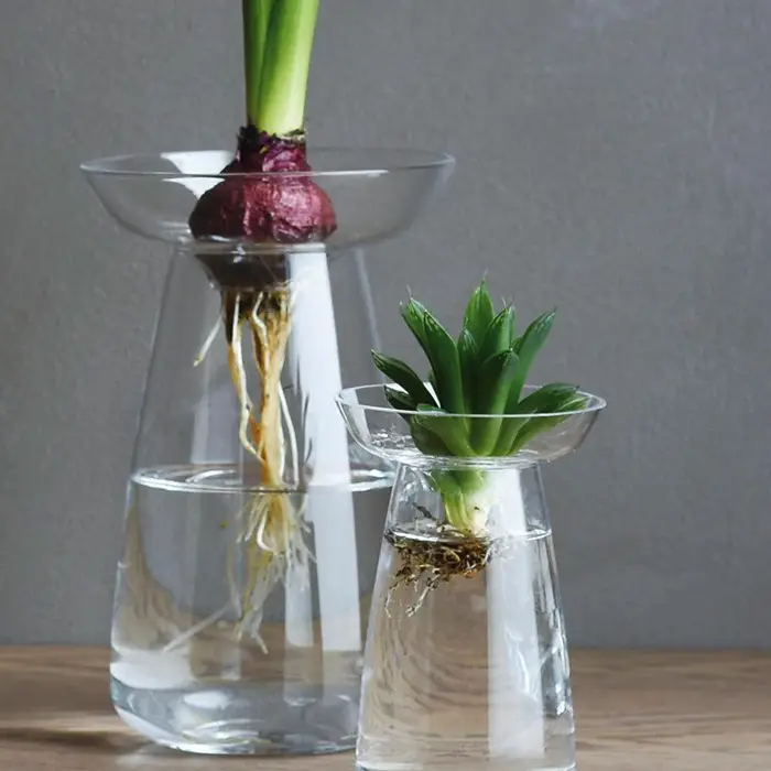 Idée cadeau jardinage n°13 : vase aquaculture