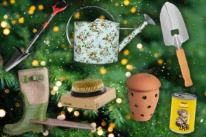 Les meilleures idées cadeaux jardinage pour Noël