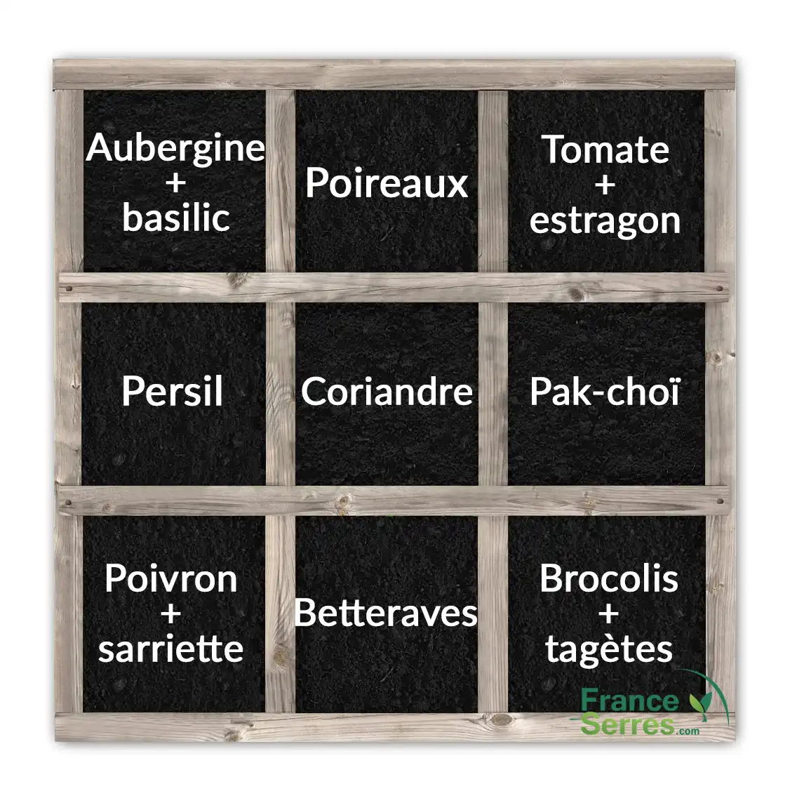 Carré potager en août