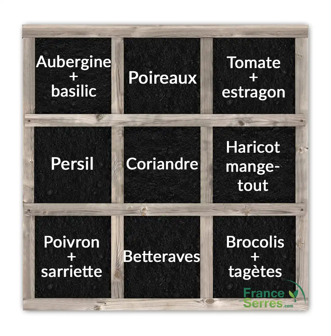 Carré potager en juillet