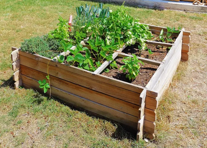 carré potager au milieu d'une pelouse dans un jardin