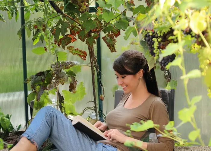 Serre de jardin aménagée en coin lecture