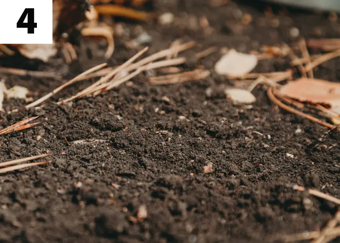 Tâche n°4 : Enrichir le sol de compost ou fumier