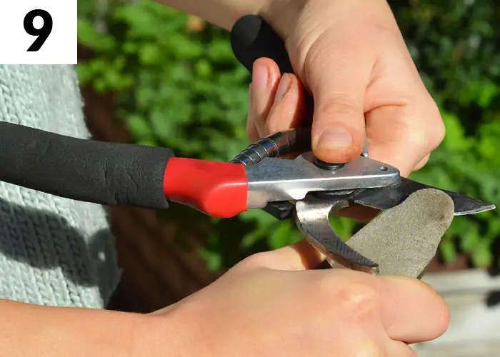 Tâche n°9 décembre au jardin : Entretenir les outils de jardinage