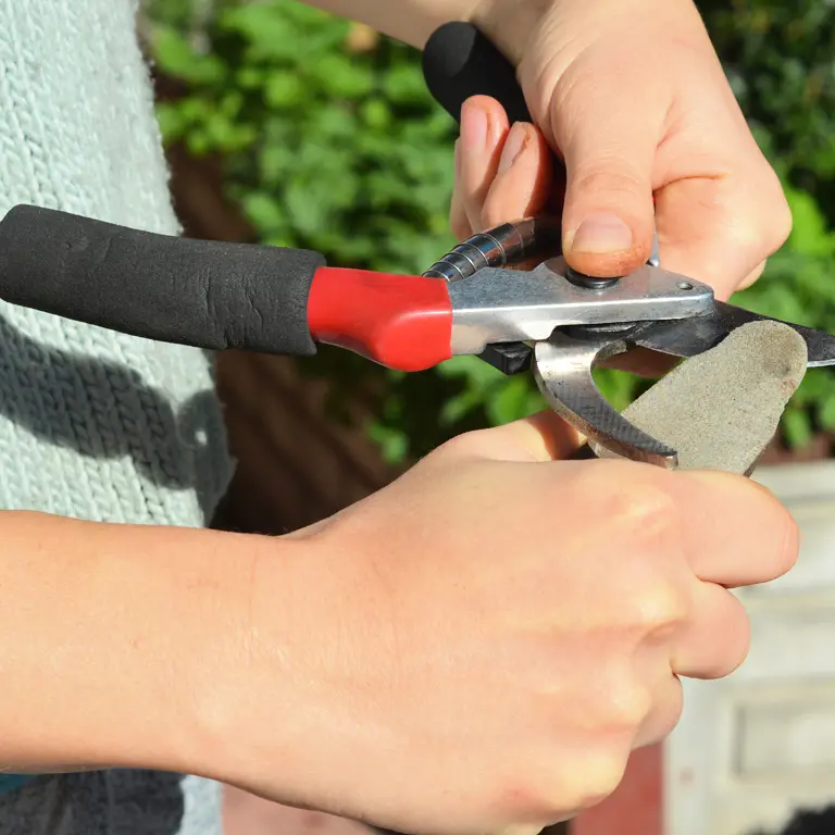 Entretien des outils de jardinage en décembre