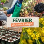 Que faire en février au jardin et au potager ?