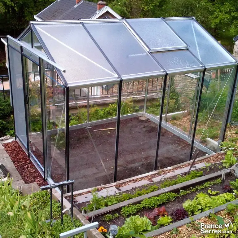 serre en verre pour la culture de la tomate