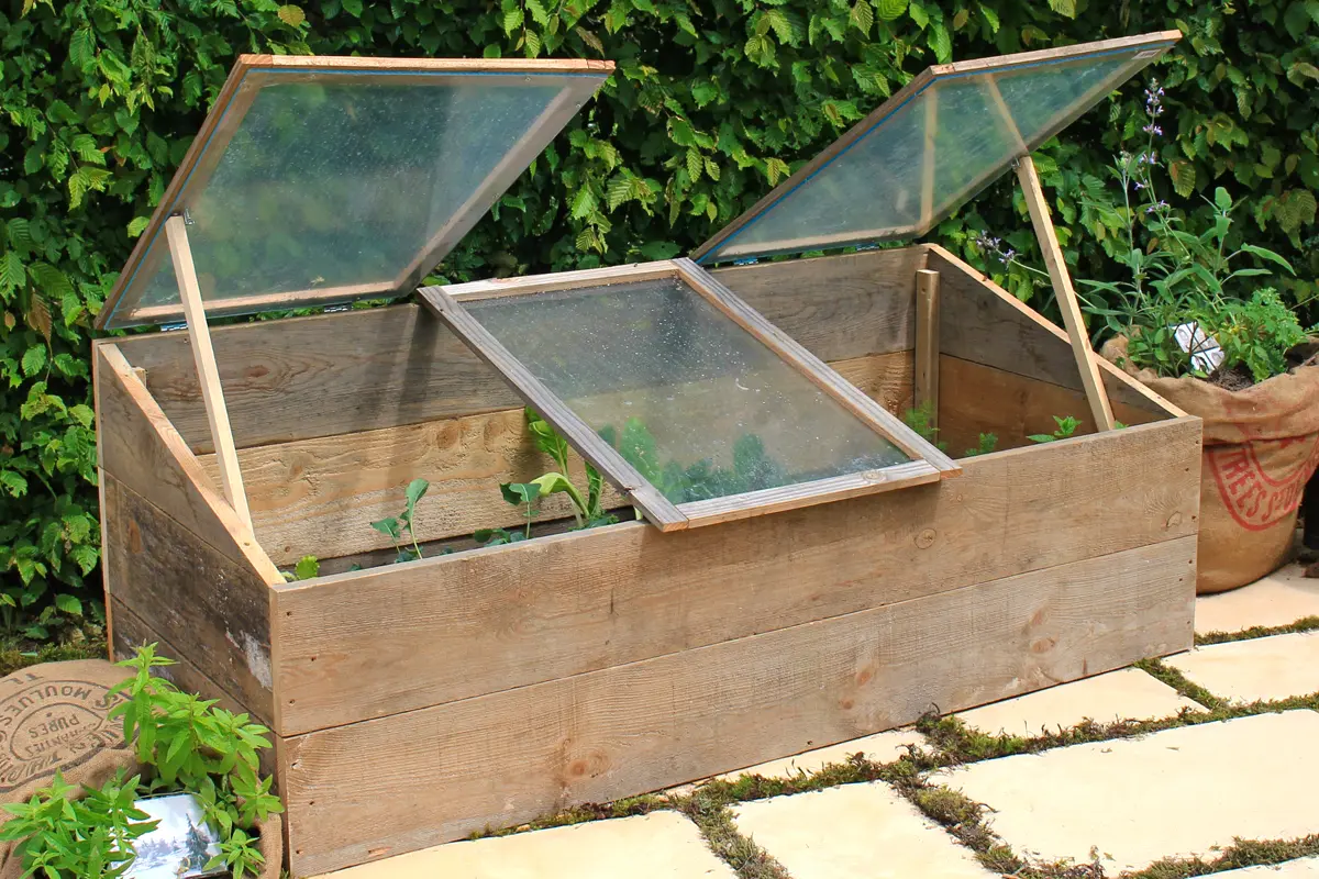 Créer un mini jardin dans une boîte à oeufs