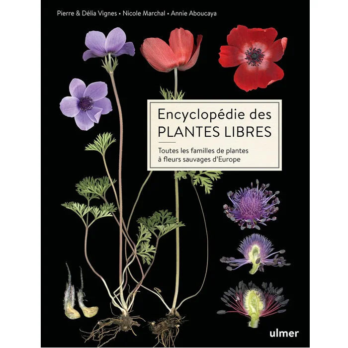 "Encyclopédie des plantes libres - Toutes les familles de plantes à fleurs sauvages d'Europe", de Collectif, Ulmer