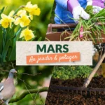 Que faire en mars au jardin et au potager ?