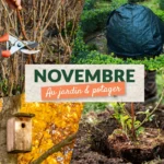 Que faire en novembre au jardin et au potager ?