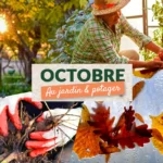 Que faire en octobre au jardin et au potager ?