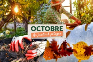 Que faire au jardin en octobre ?