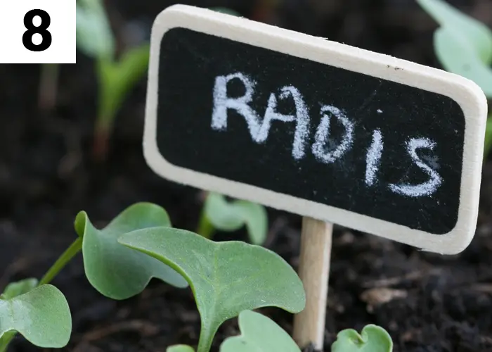 Tâche n°8 janvier au jardin : Planifiez vos futurs espaces de culture