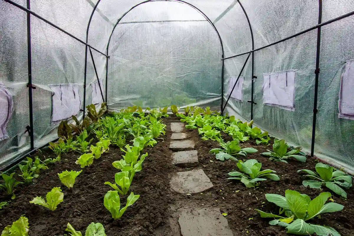 Jardin: 5 solutions pour protéger les plantations en hiver