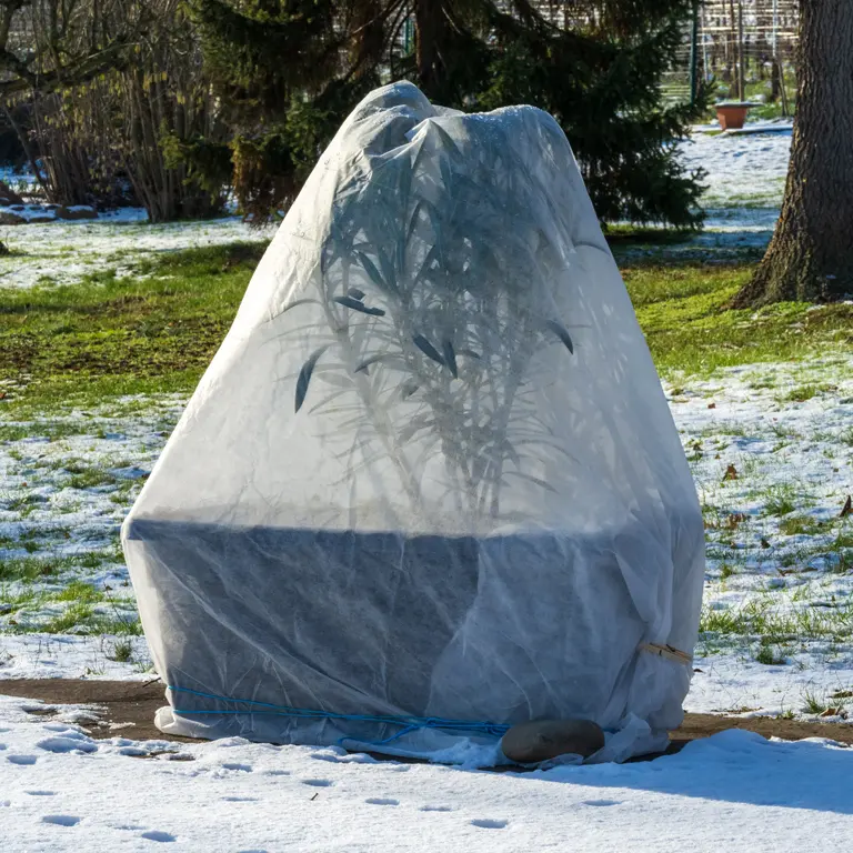 Un solide voile d'hivernage est indispensable par grand froid en janvier