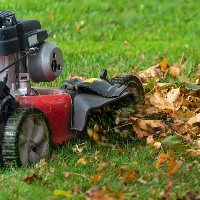 Ramassage de feuilles à l'aide d'une tondeuse