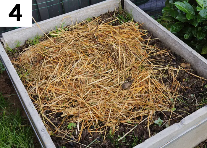 Tâche n°4 janvier au jardin : Réchauffez les futurs lits de semences