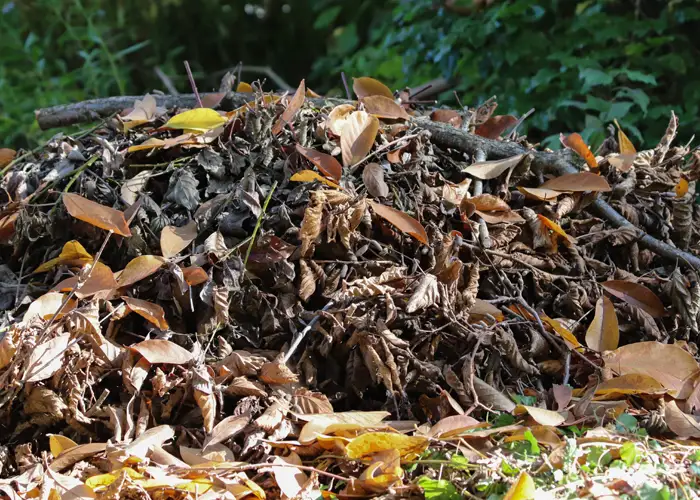 Un tas de bois constitue un excellent refuge pour la biodiversité