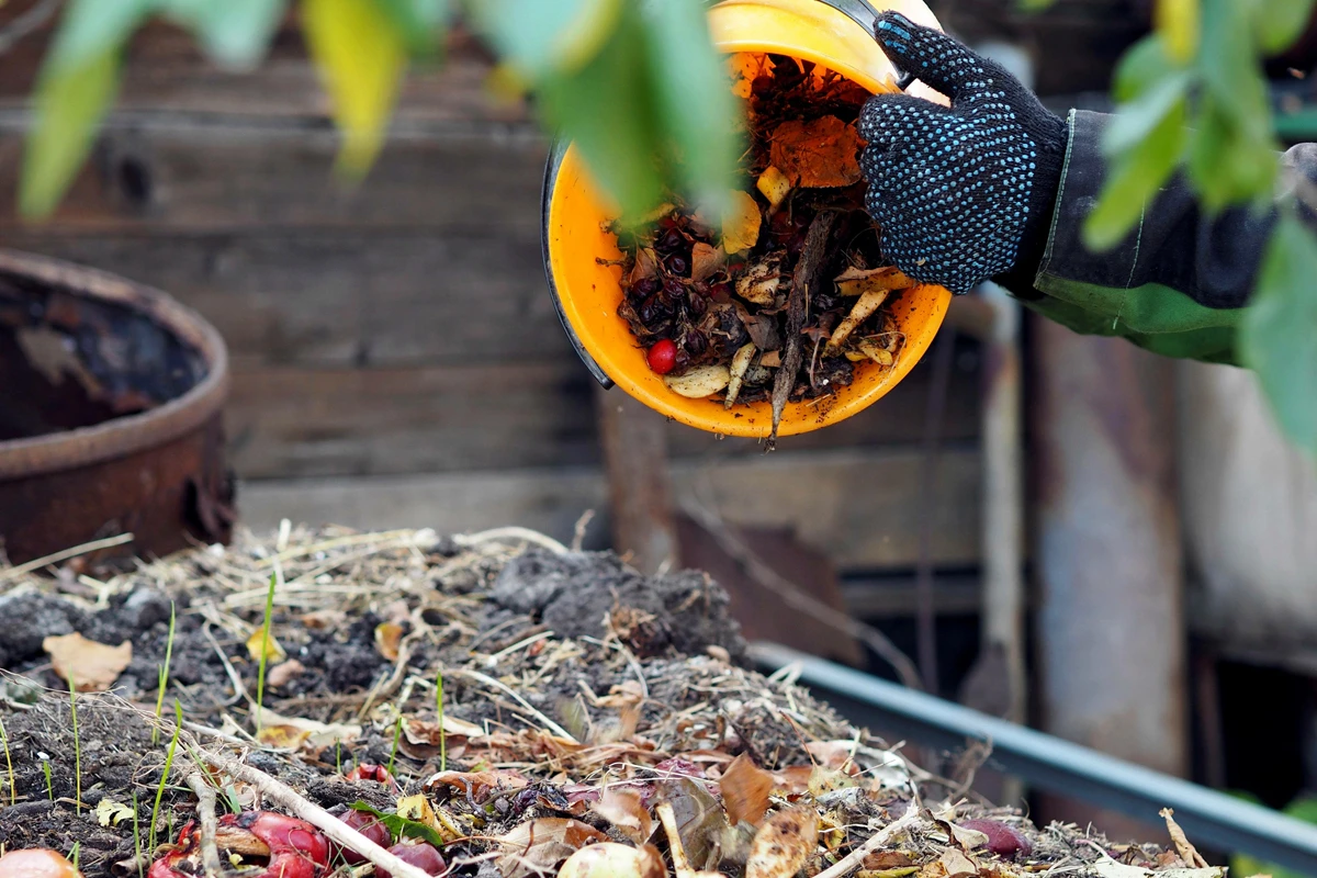 Composter vos déchets avec ce pot de fleurs équipé d'un lombricomposteur