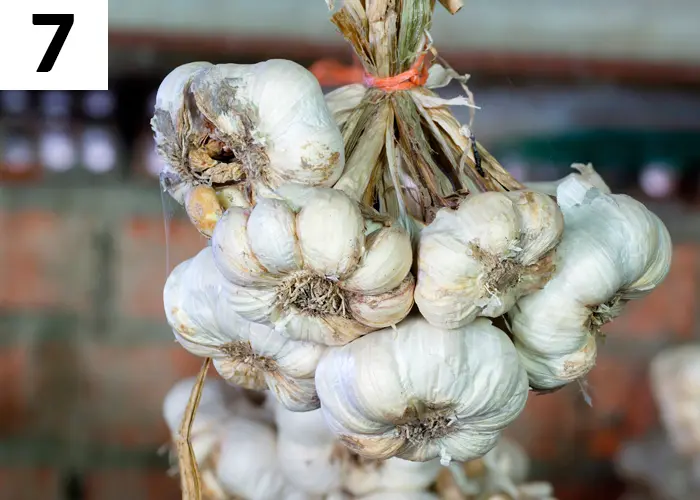 Tâche n°7 janvier au jardin : Vérifier l'état de votre stock de légumes