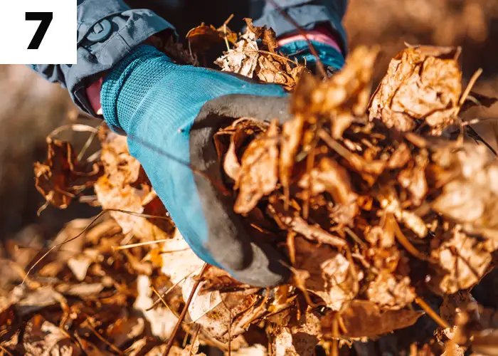 Tâche n°7 : Collecter les feuilles pour en faire du terreau