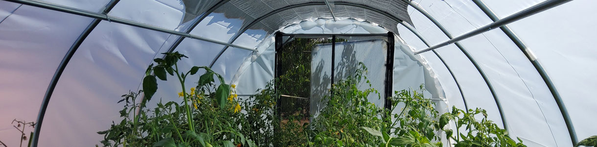 Housse de protection Bâche blanche transparente pour serre jardin extérieur  imperméable à l'eau coupe-vent toit ombrage réparation ruban PVC