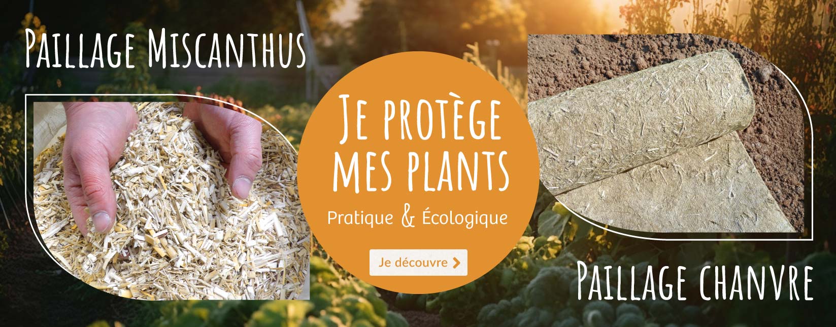 Paillage écologique pour protéger la terre et vos plantes